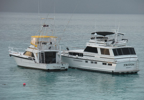 First Strike Charters - Our fleet